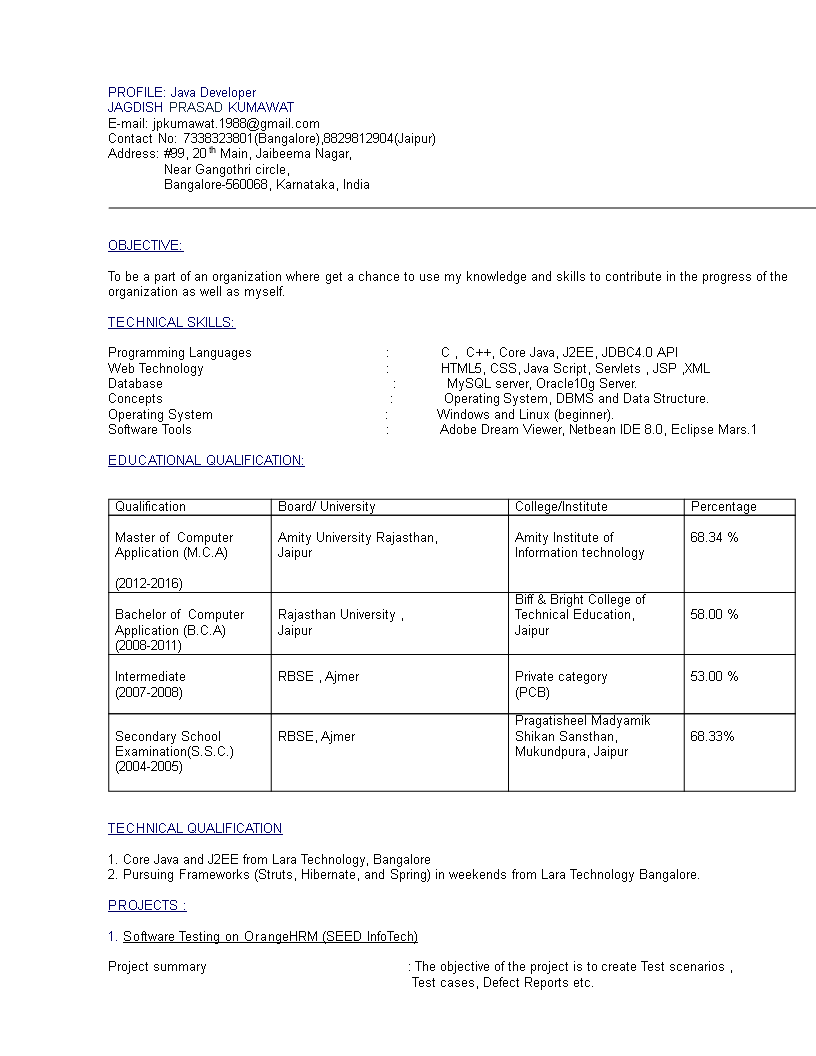 Entry Level Computer Engineering Resume 模板