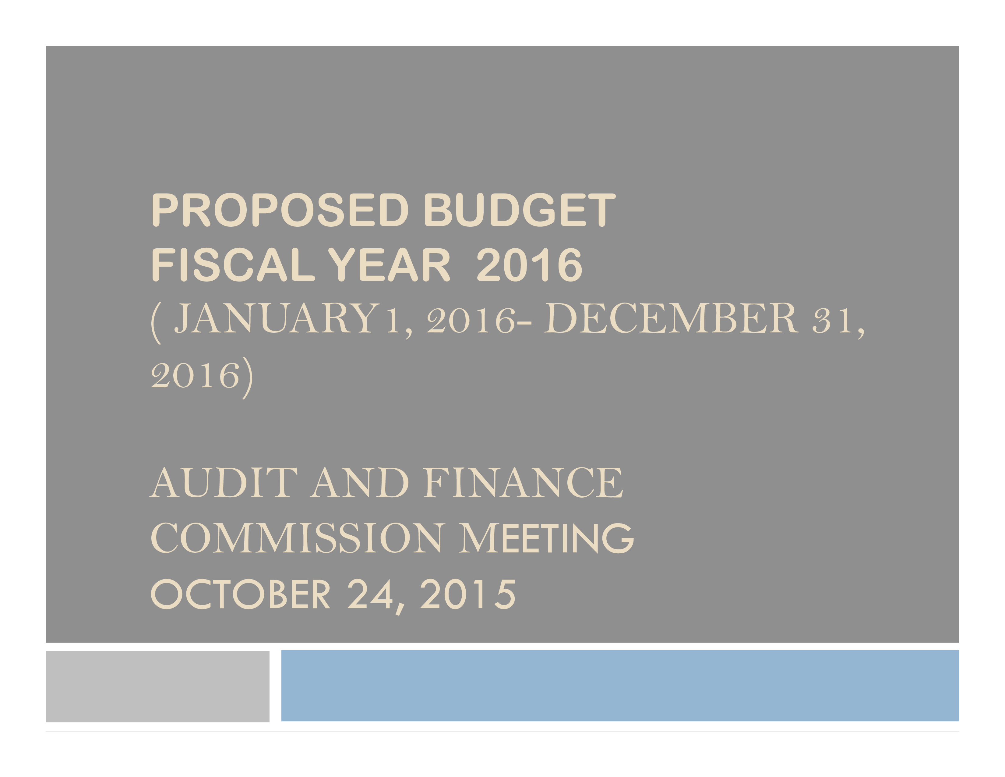financial budget presentation modèles