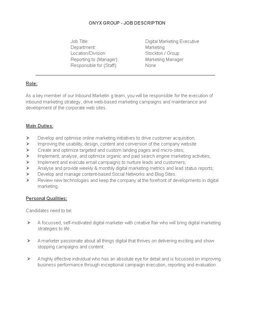 Digital Marketing SEO Executive Resume main image