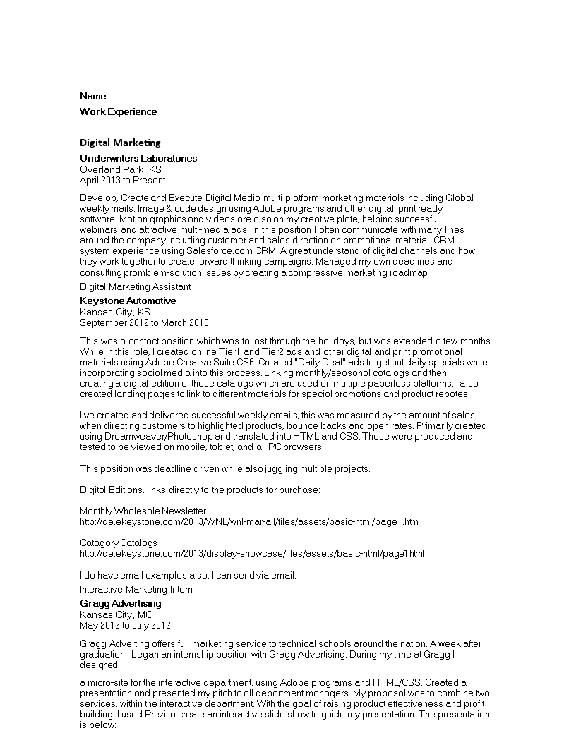 Digital Marketing Assistant Resume 模板