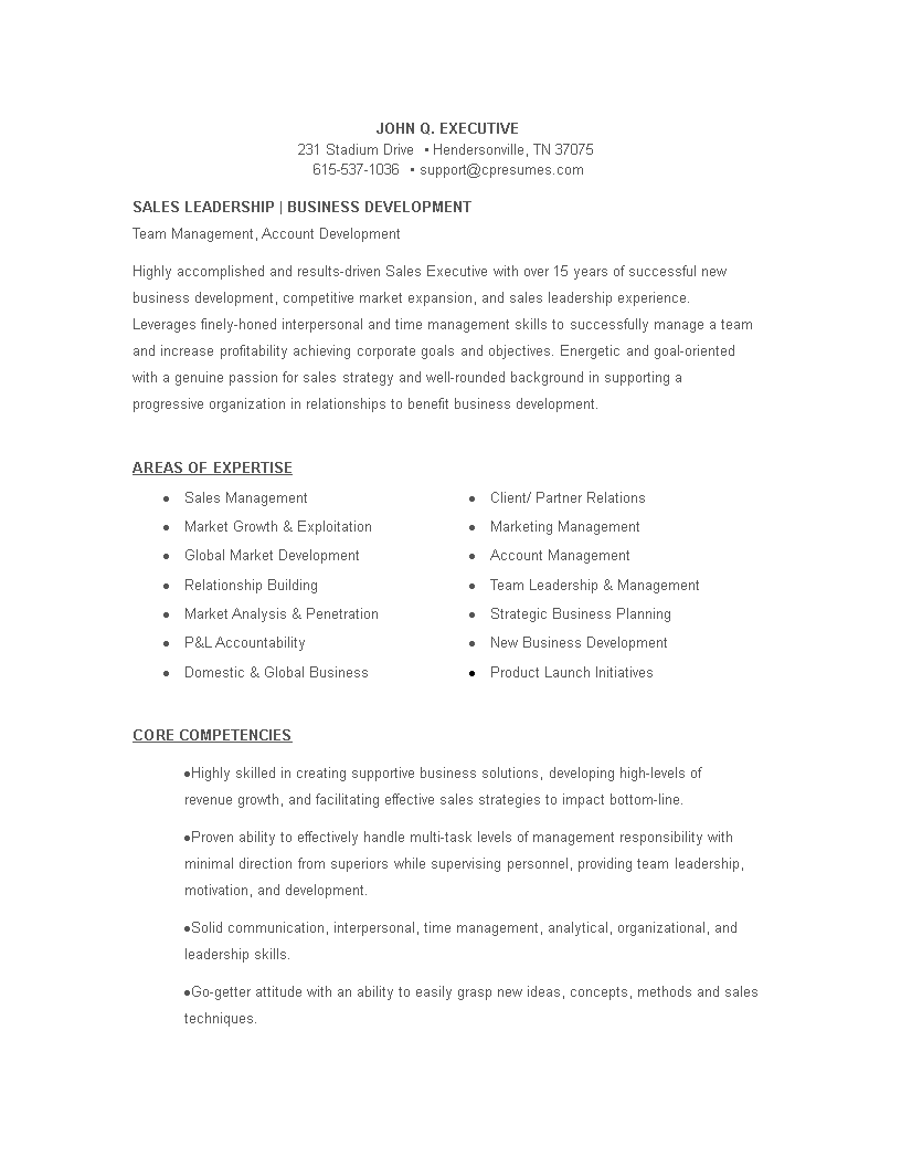 Marketing Sales Executive Curriculum Vitae 模板