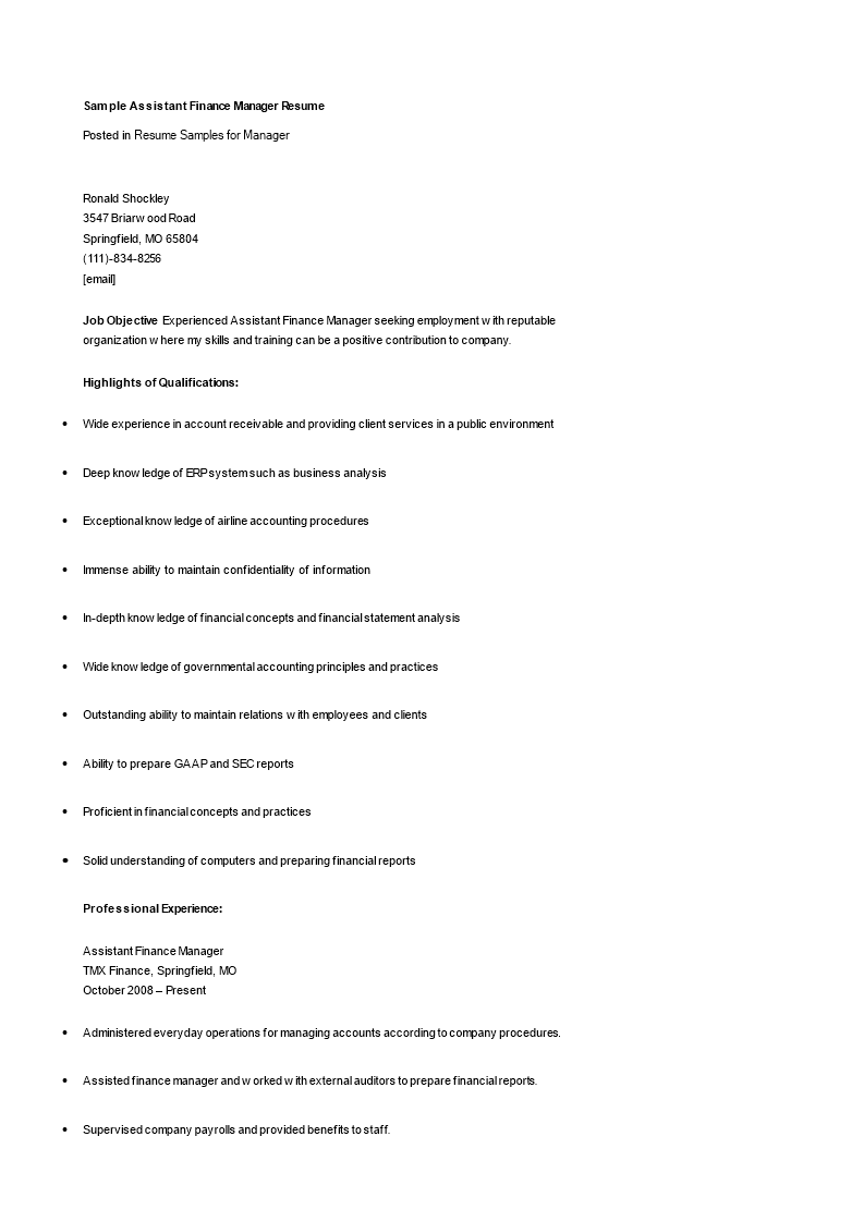 finance assistant manager resume plantilla imagen principal