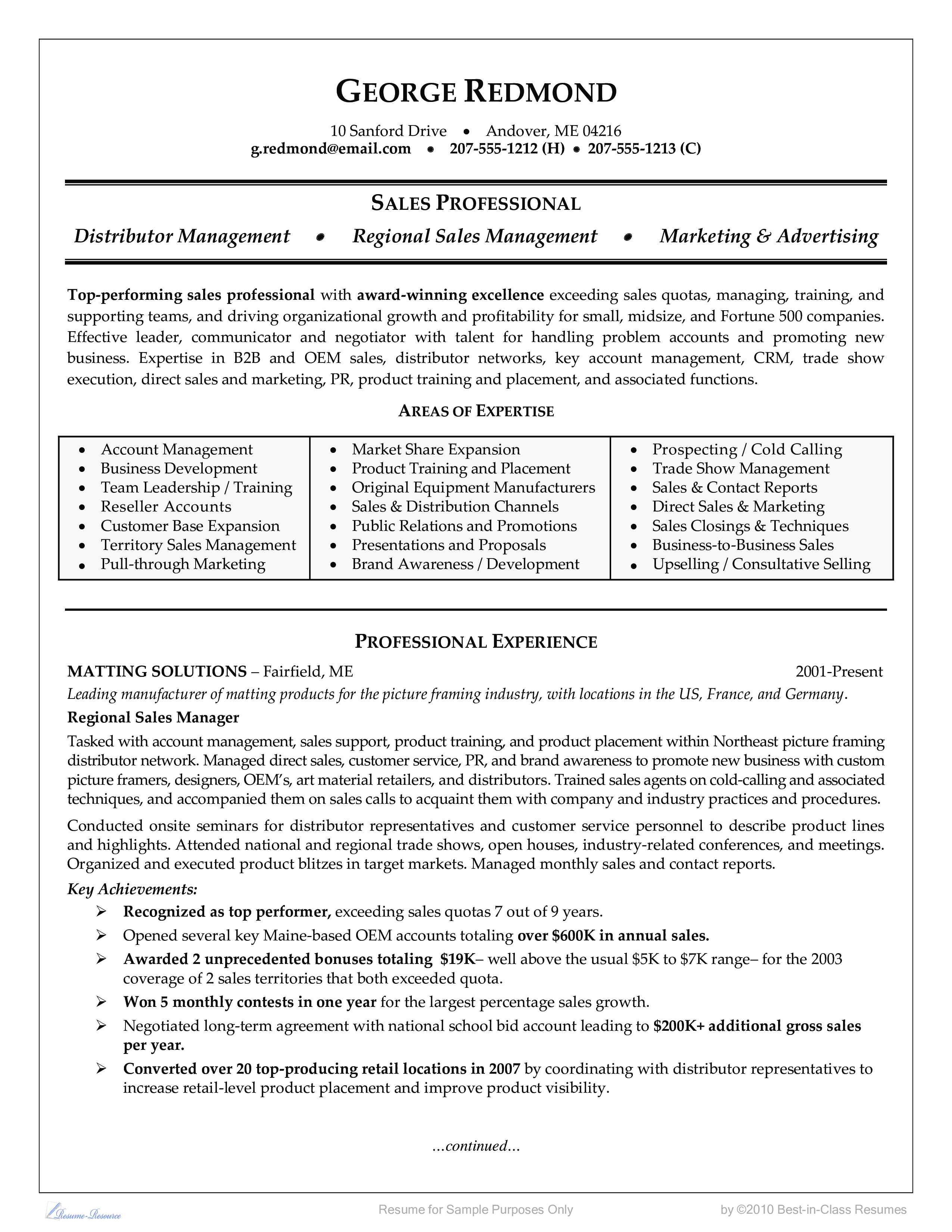 regional sales resume example Hauptschablonenbild