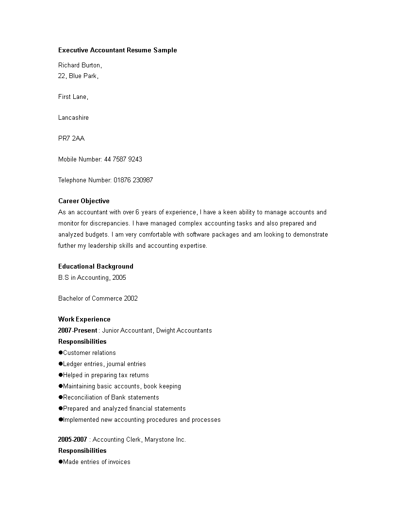 executive accountant curriculum vitae sample modèles