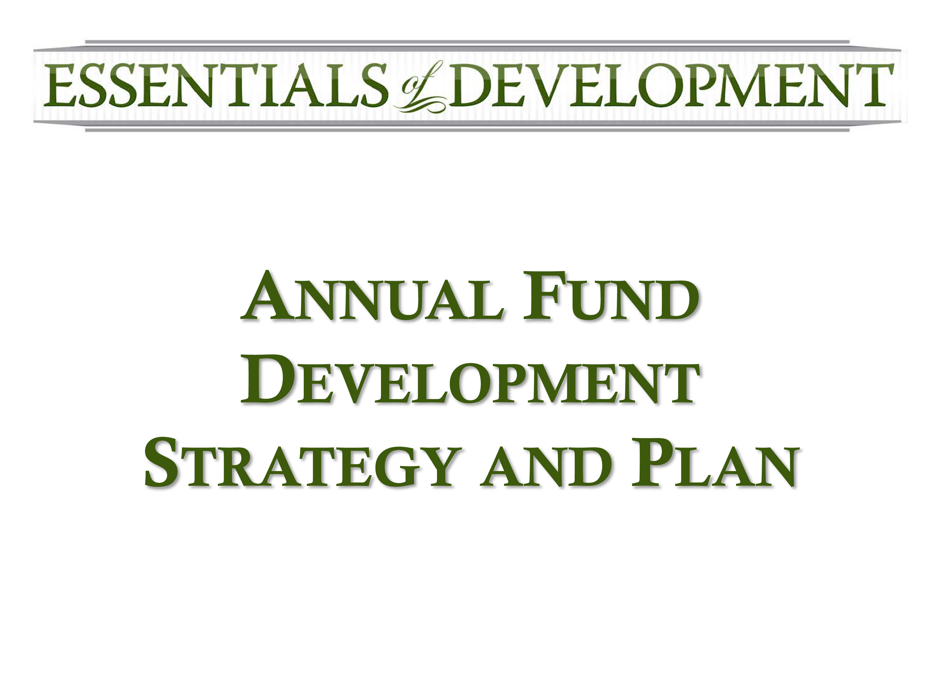 Annual Fund Strategic Plan 模板