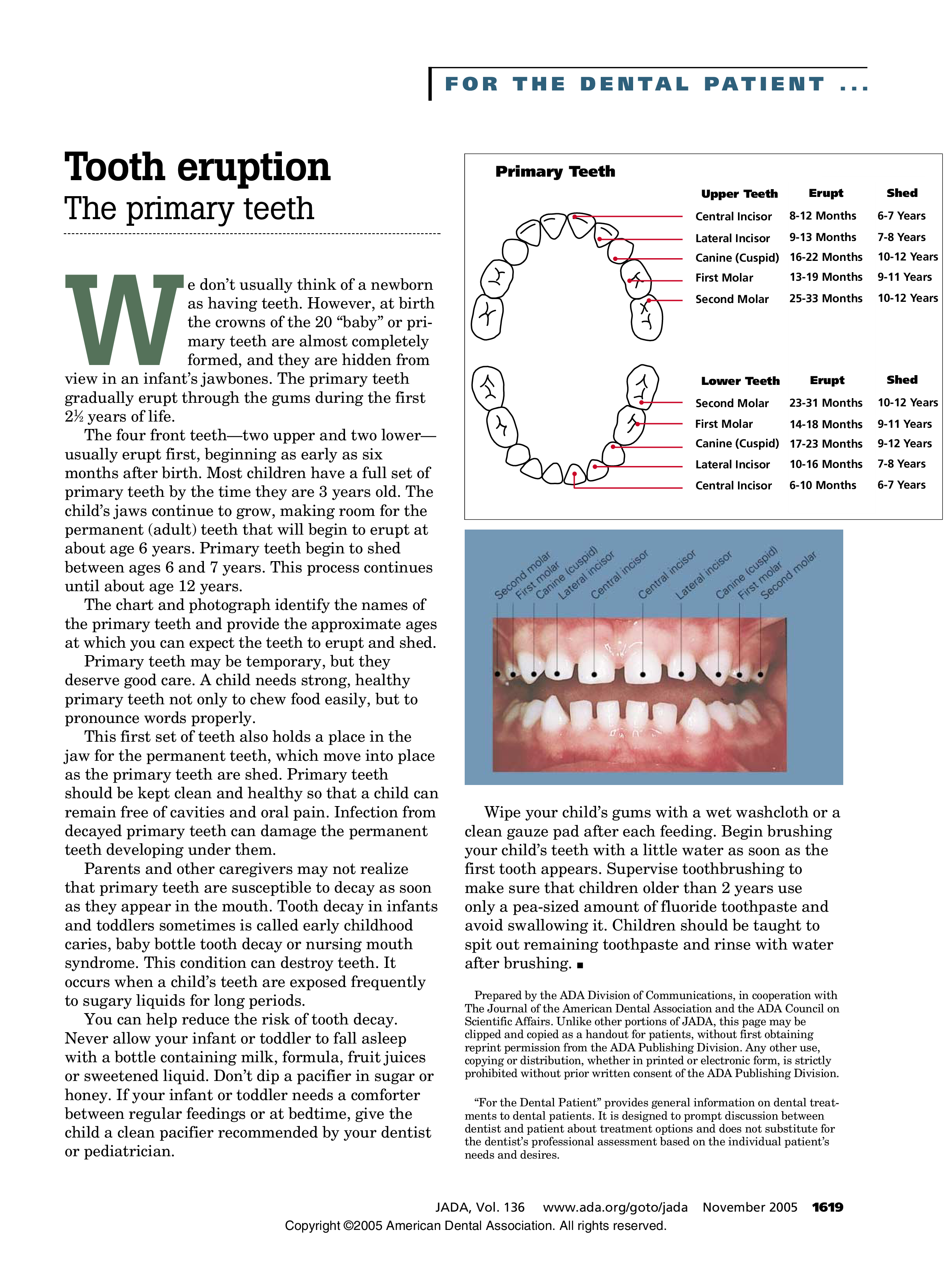 baby tooth loss chart voorbeeld afbeelding 