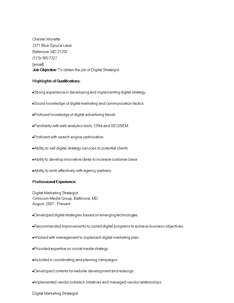 digital marketing strategist resume Hauptschablonenbild