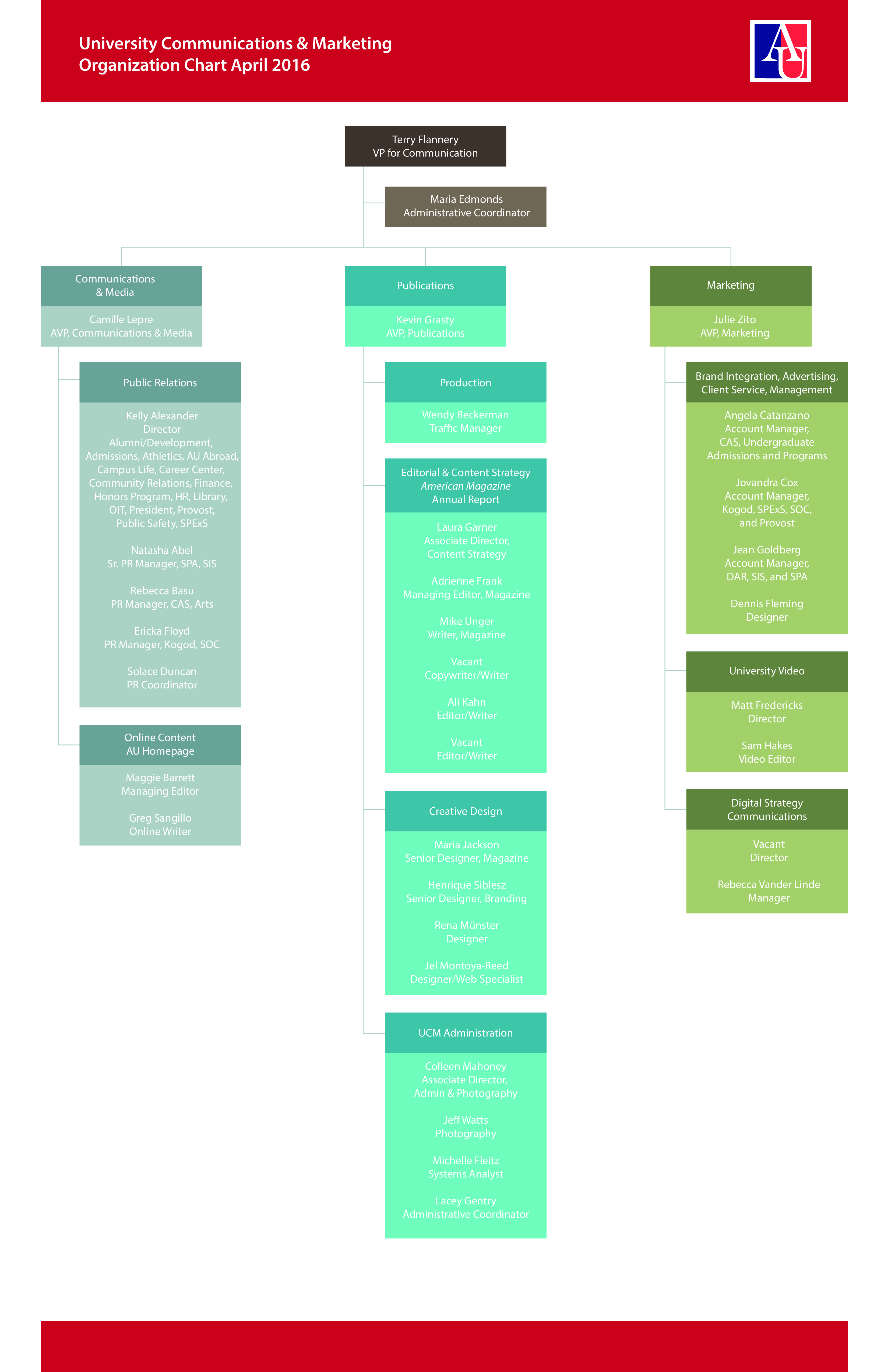 Marketing Organization Chart 模板