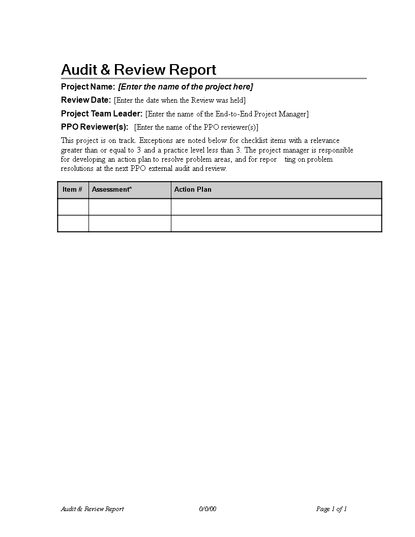 audit review report project modèles