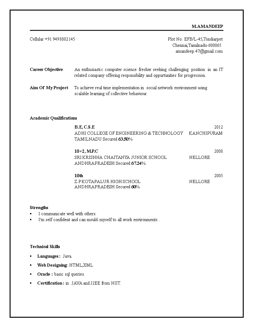 Professional Engineering Fresher Resume main image