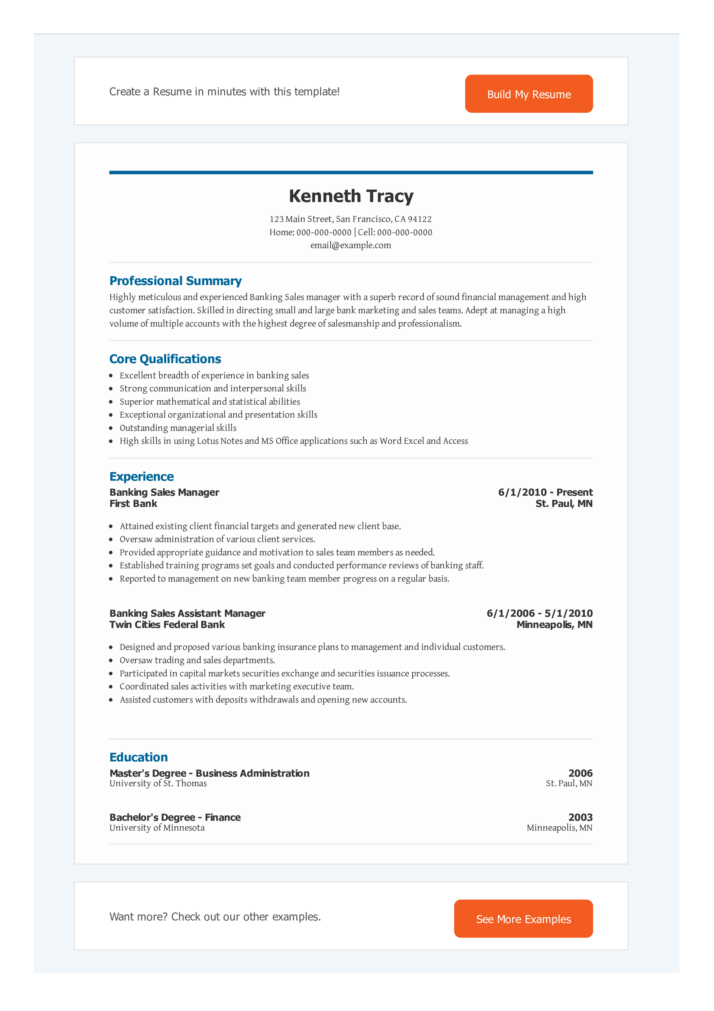 bank sales officer cv template