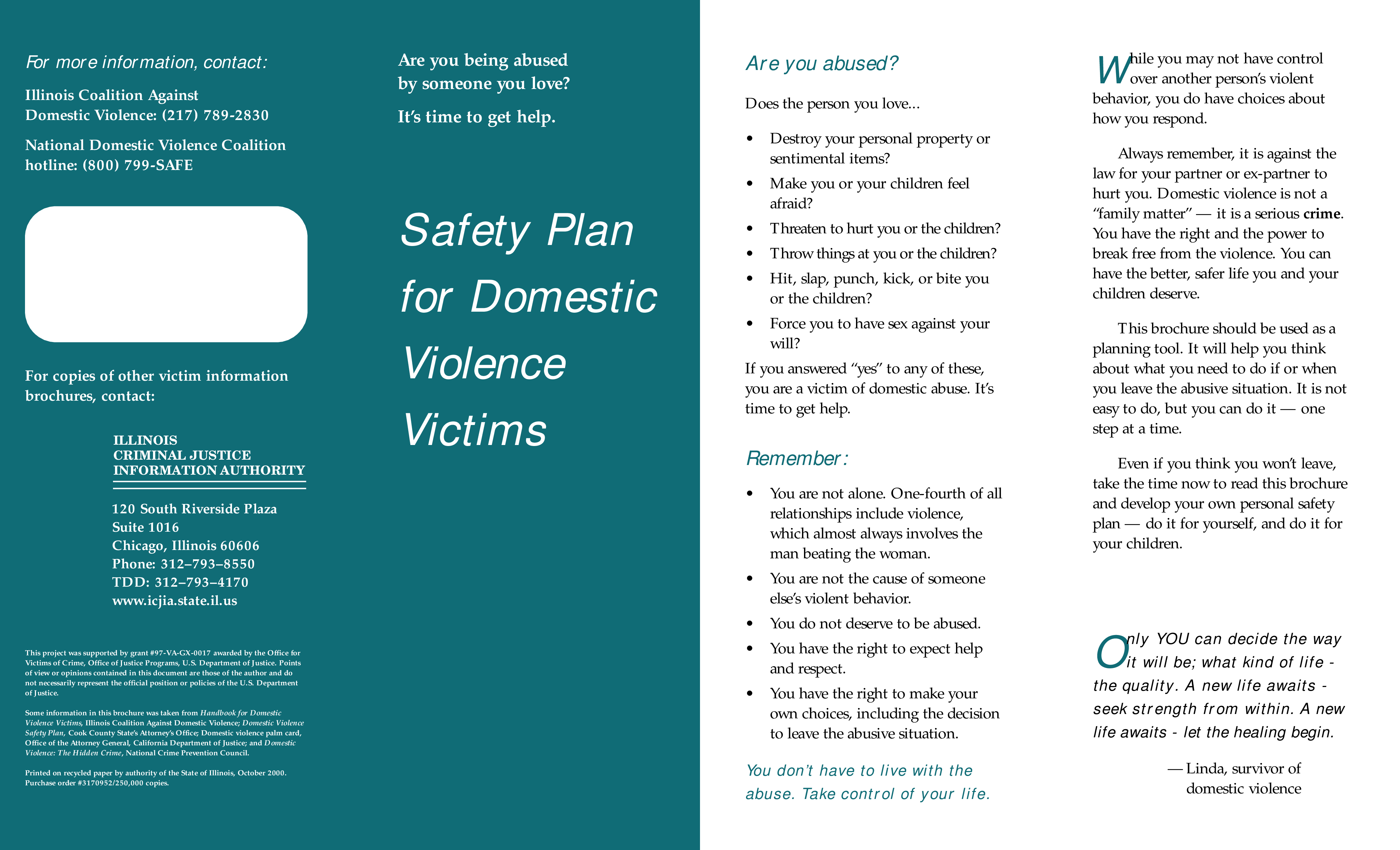 domestic violence safety plan brochure template